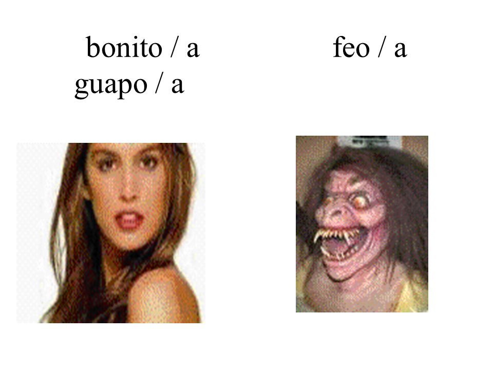 bonito Delgado bonito Delgado